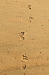 Footsteps Stock Photo