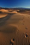 Footsteps On Mesquite Sand Dunes, Death Valley National Park Stock Photo