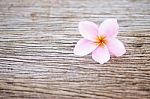 Frangipani Flower On Wooden Table Stock Photo