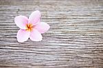Frangipani Flower On Wooden Table Stock Photo