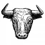 Freehand Sketch Illustration Of Bul Stock Photo