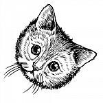 Freehand Sketch Illustration Of Little Cat, Kitten Stock Photo