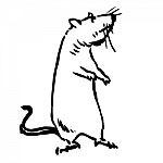 Freehand Sketch Illustration Of Rat, Mouse Stock Photo