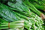 Fresh Asian Kale Lettuce In Market Stock Photo