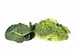 Fresh Broccoli Stock Photo