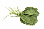 Fresh Bunch Of Organic Spinach Isolated On White Background Stock Photo