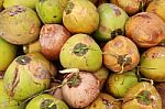 Fresh Coconut Background Stock Photo