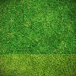 Fresh Green Grass Top View Stock Photo