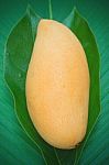 Fresh Mango On The Leaf Stock Photo