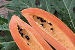Fresh Papaya Slice On Green  Leave Background,still Life Stock Photo