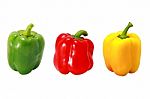 Fresh Red Green And Yellow Peppers Stock Photo