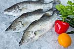 Fresh Seabass Chilled On Ice Stock Photo