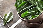 Fresh Spinach In The Copper Pot Stock Photo