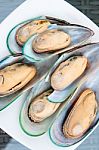 Fresh Steamed Mussels Stock Photo
