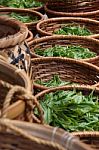 Fresh Tea Leaves In The Baskets Stock Photo