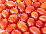 Fresh Tomatoes Stock Photo
