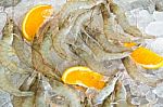 Fresh White Shrimps Stock Photo