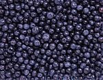 Freshly Blueberries Stock Photo