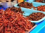 Fried Insects Stock Photo