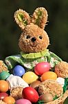 Funny Easter Rabbit Stock Photo