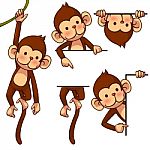 Funny Monkey Stock Photo