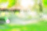 Garden With Blurred Images Stock Photo