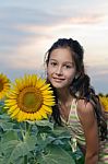 Girl And Sunflower Stock Photo