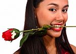 Girl Biting A Rose Stock Photo