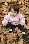 Girl In Autumn Leaves Stock Photo