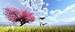 Girl Running On The Field To Sakura Tree Flower Stock Photo