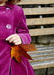 Girl With Leaf Stock Photo