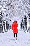 Girl With Umbrella Walking On The Path And Row Trees. Winter Stock Photo