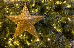 Golden Decoration Light In Shape Of Star On Christmas Pine Tree Stock Photo