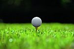Golf Ball Stock Photo