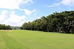 Golf Course  Stock Photo