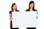 Gorgeous Women Presenting Blank Ad Board Stock Photo