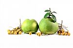 Grapefruit Stock Photo
