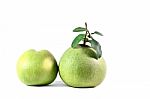 Grapefruit Stock Photo