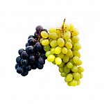 Grapes Stock Photo
