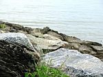 Grass Rock Beach  Times Stock Photo