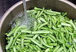 Green Beans In The Pot Stock Photo