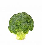 Green Broccoli Stock Photo