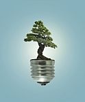Green Energy Eco Concept, Tree Growing Out Of Bulb Stock Photo