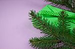 Green Gift With Polka Dot Ribbon And Branch Of Pine On Pink Background Stock Photo