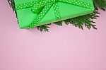 Green Gift With Polka Dot Ribbon And Cypress On Pink Background Stock Photo