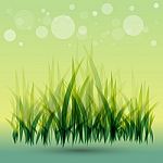 Green Grass Background Stock Photo