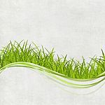 Green Grass Design Stock Photo