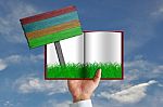 Green Grass In Book And Wooden Sign Stock Photo