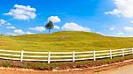 Green Hill Summer Landscape Stock Photo