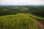 Green Rice Field View Point At Chiang-rai Stock Photo